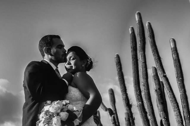 Ideal para o seu casamento