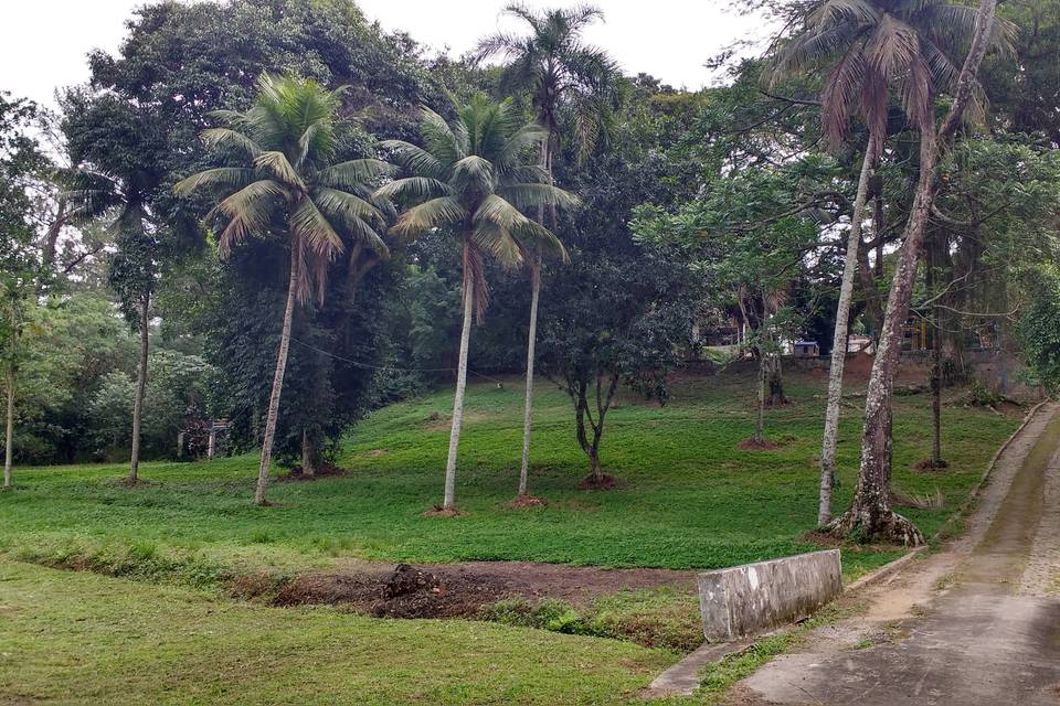 Parque do Castelo