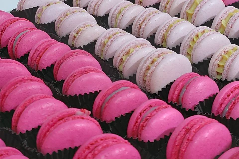 Macarons