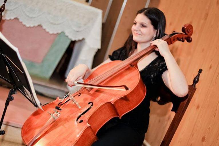 Instrumentos e música na sua festa