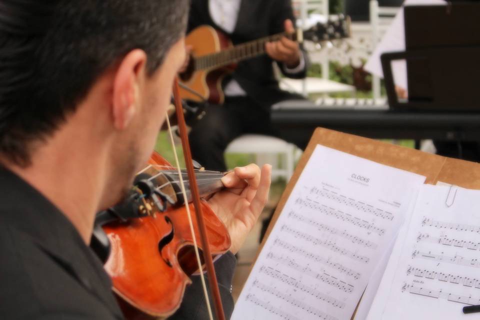 Alliança Classical Music Events