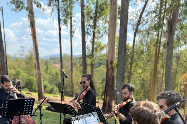 Casamento - Quinteto de cordas