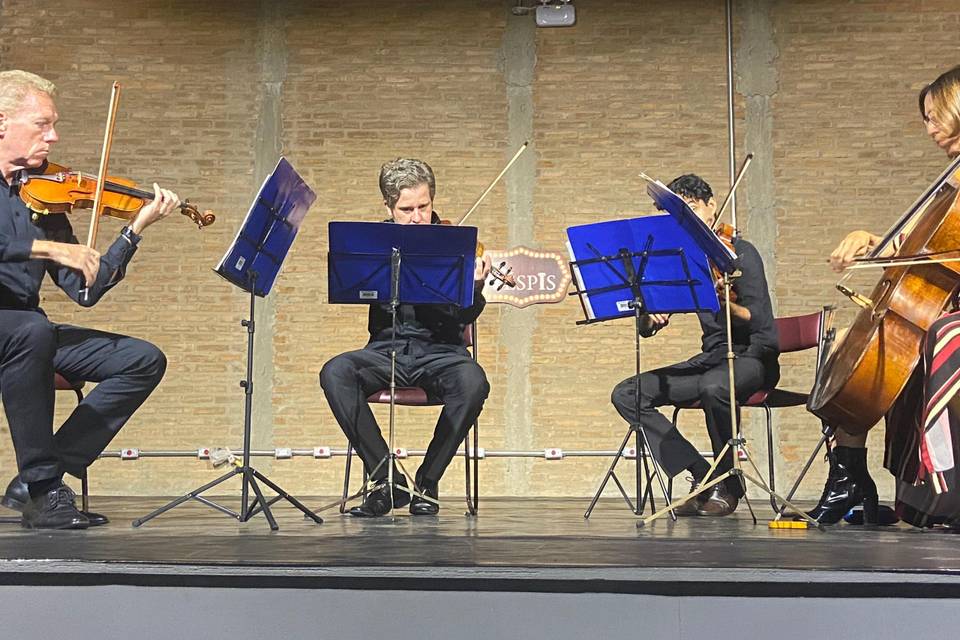 Quarteto de cordas