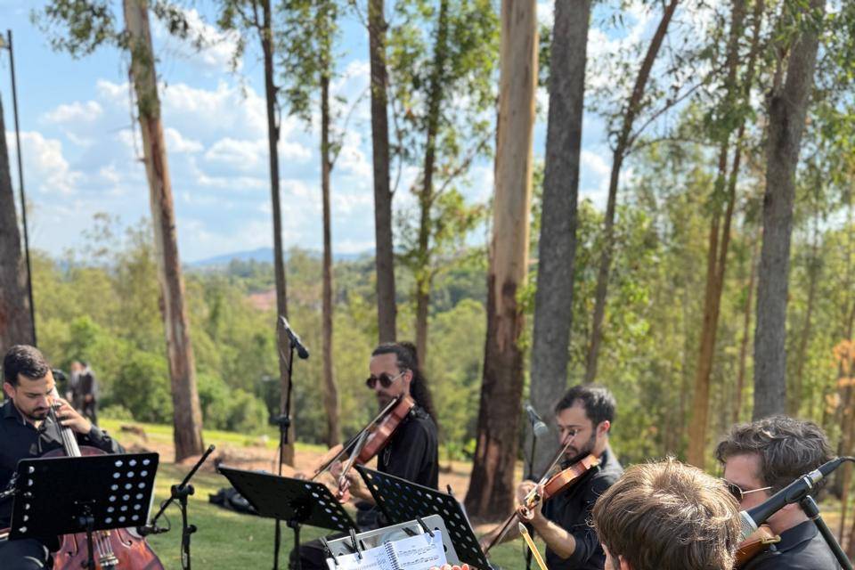 Casamento - Quinteto de cordas
