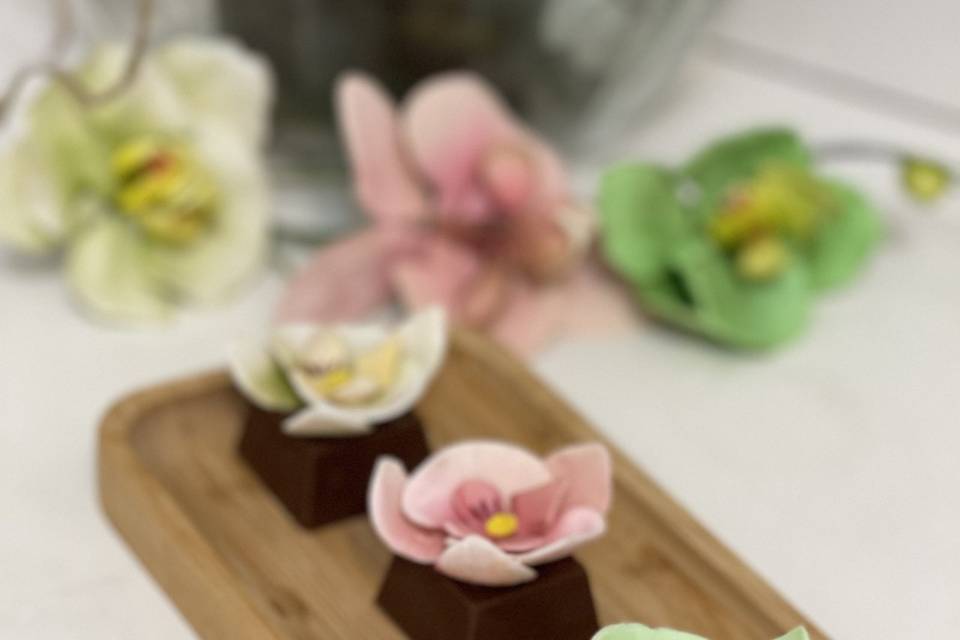 Brownie orquídeas