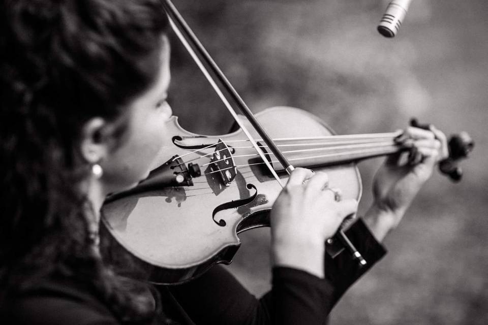 Aysllany Edifrance - Violinista