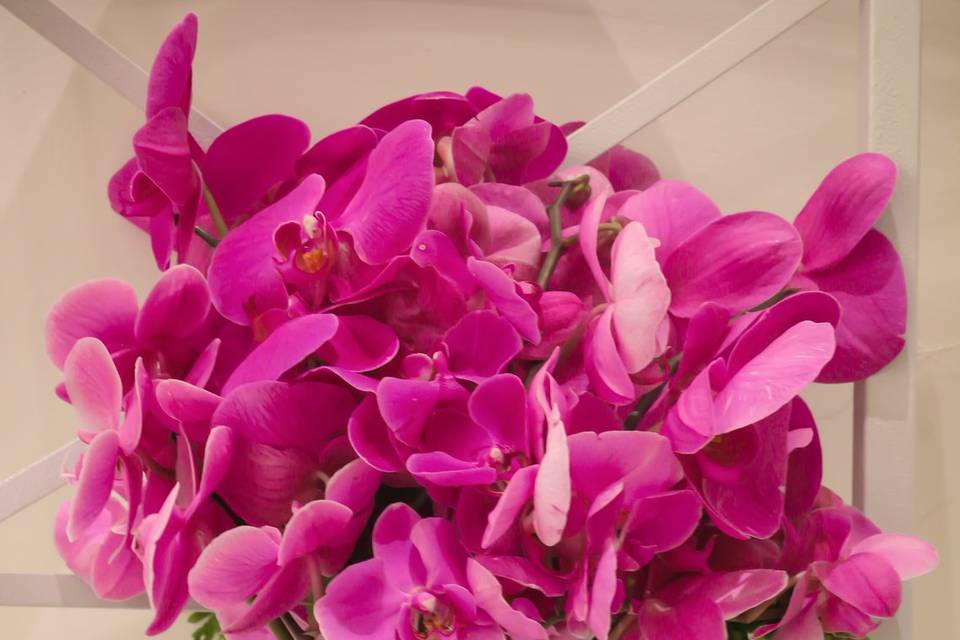 Buque orquídeas R$300,00