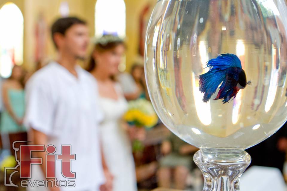 Fit Eventos - Foto e Vídeo