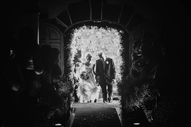 Peônia fotografia e cinema