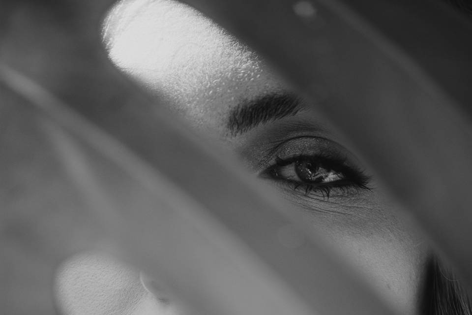 Peônia fotografia e cinema
