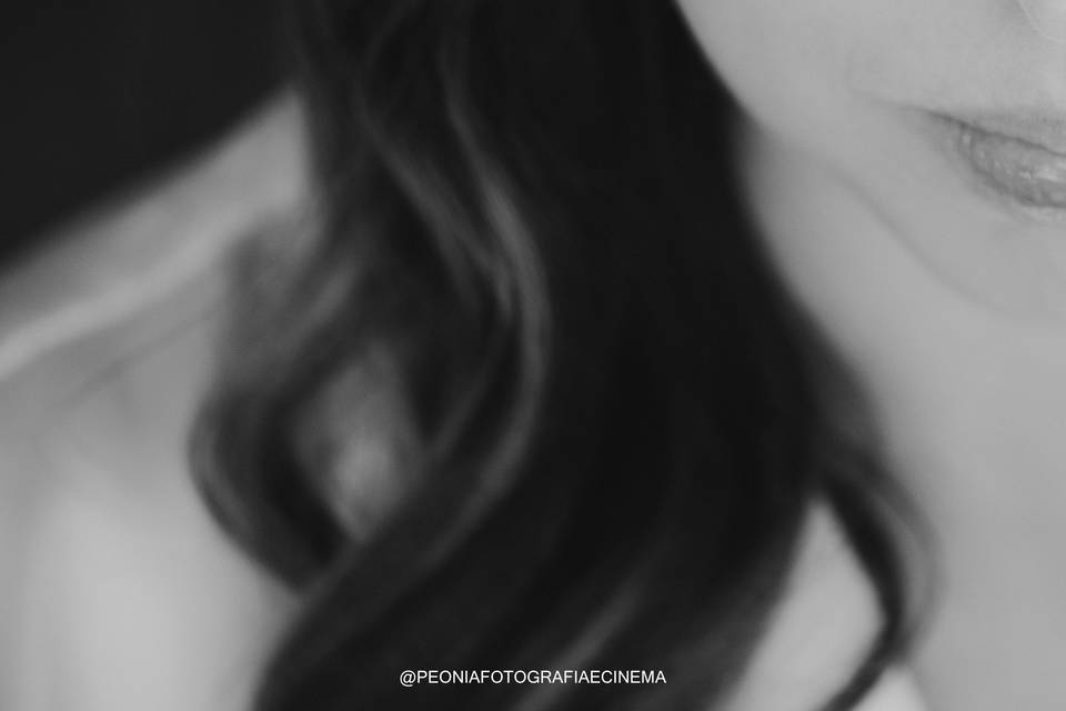 Peônia fotografia e cinema