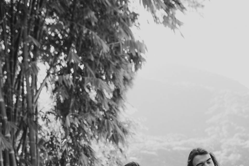Peônia fotografia e cinema
