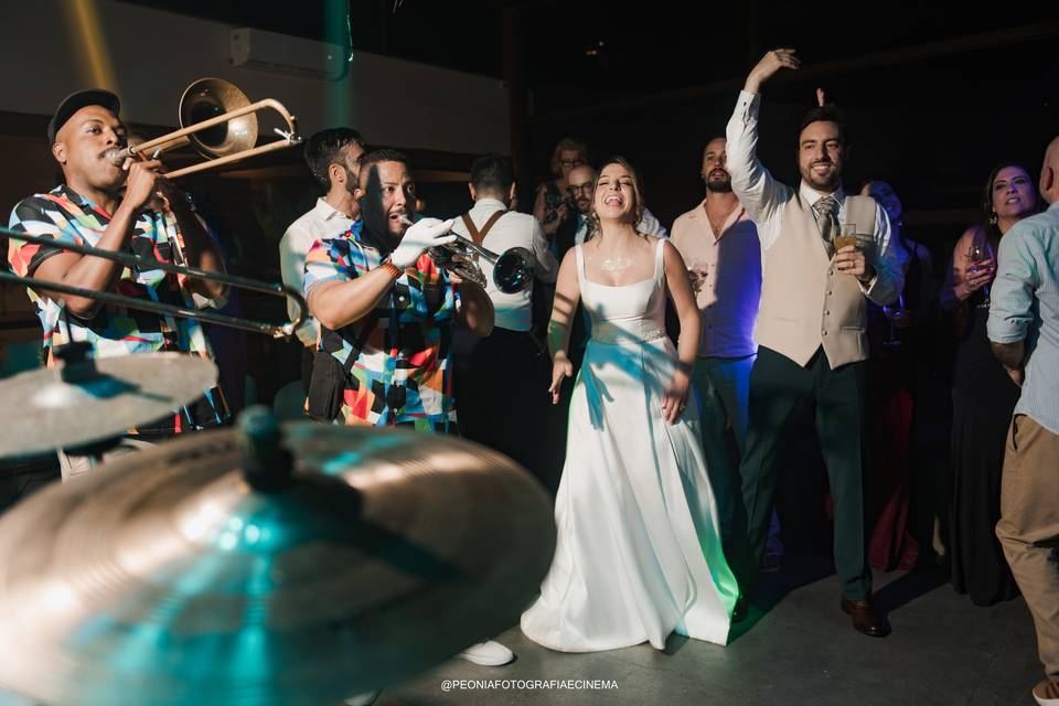 Peônia fotografia e cinema
