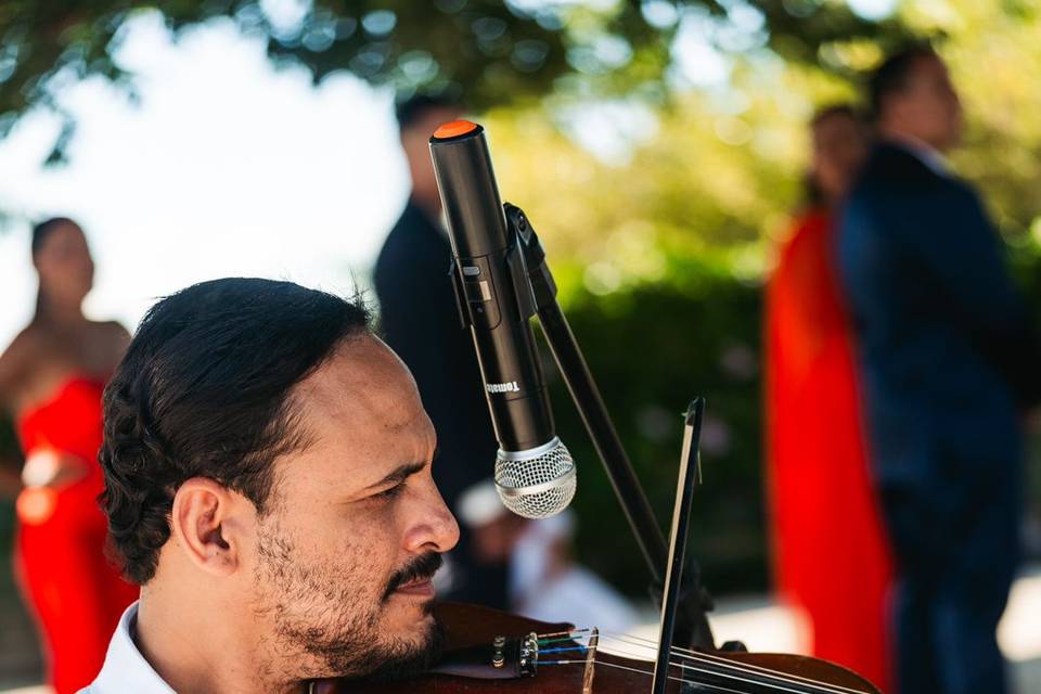 Tomas Violinista