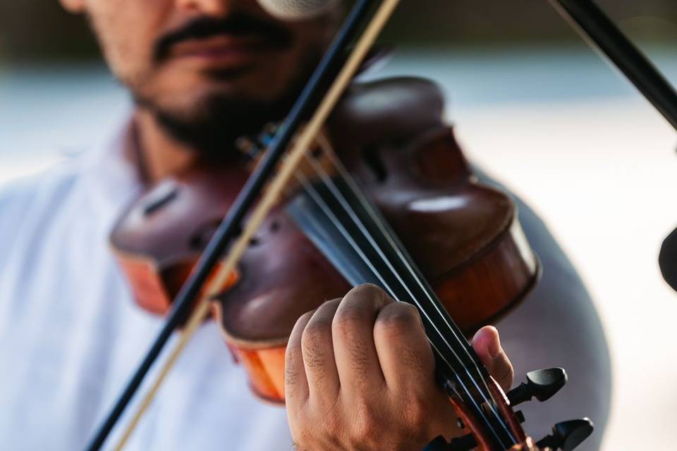 Tomas Violinista