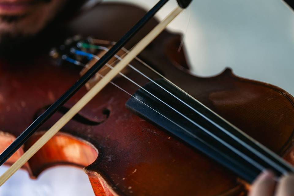 Tomas Violinista