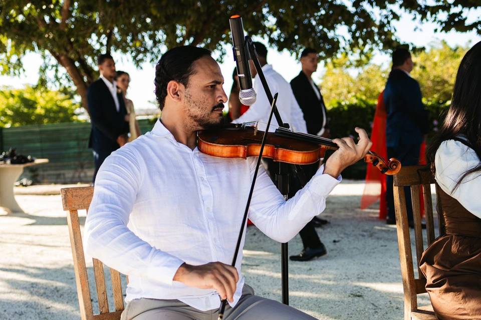 Tomas Violinista