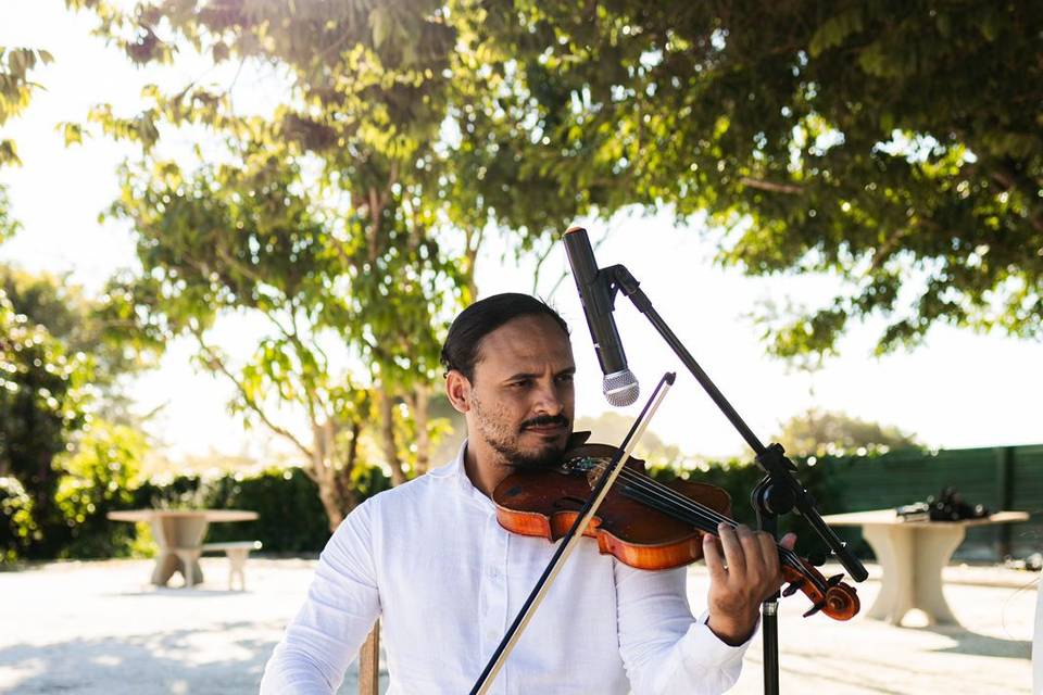 Tomas Violinista