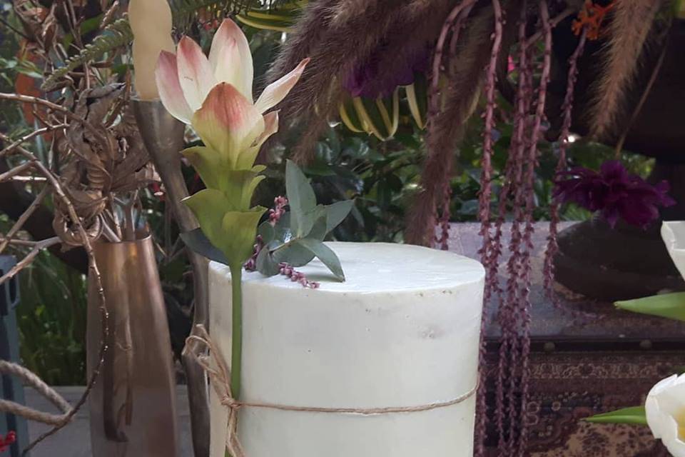 Semi Naked Cake