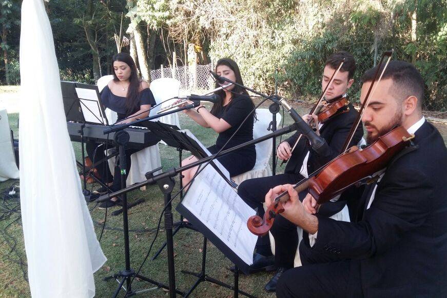 Piano, flauta, violino e viola