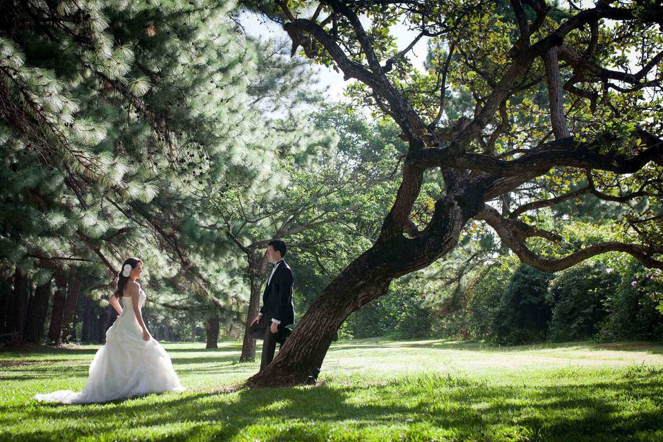 Trash the dress em Brasilia