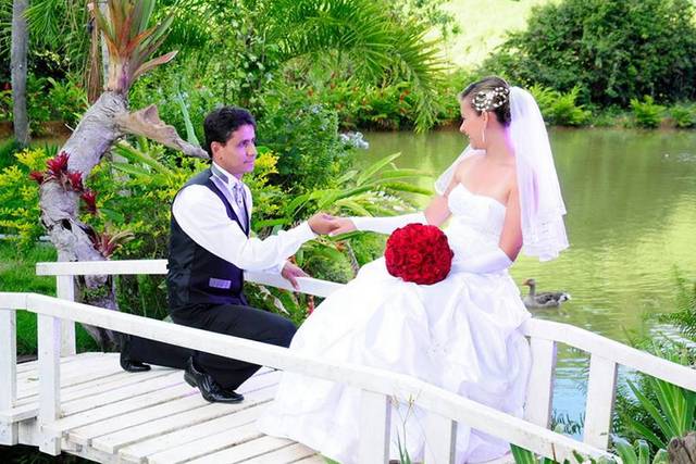 Nós capturar seus sentimentos