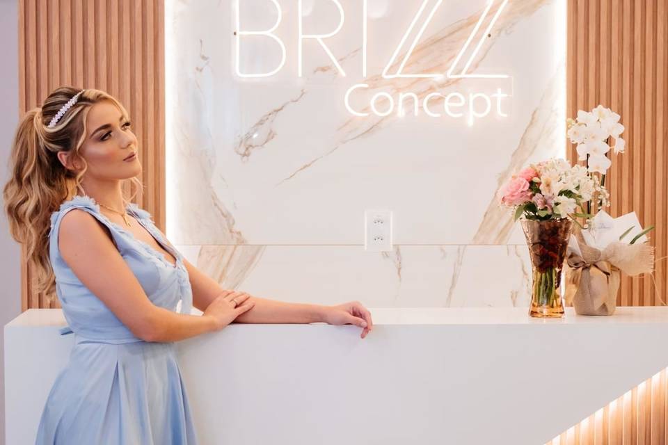 Brizz concept