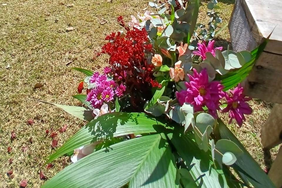 Cerimonia no campo