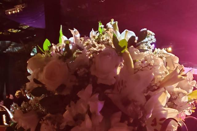 Organização impecável