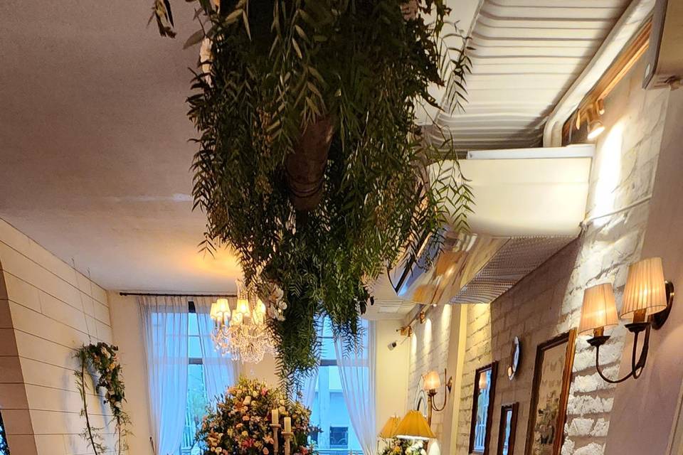 Organização espacial