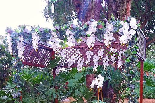 Casamento no Jardins do Chalé