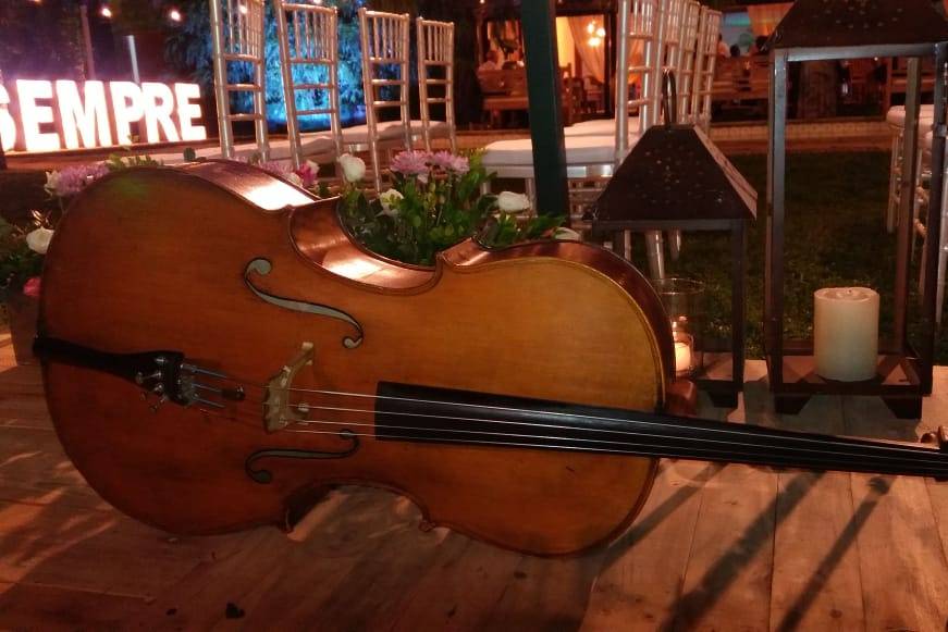 Violoncelo