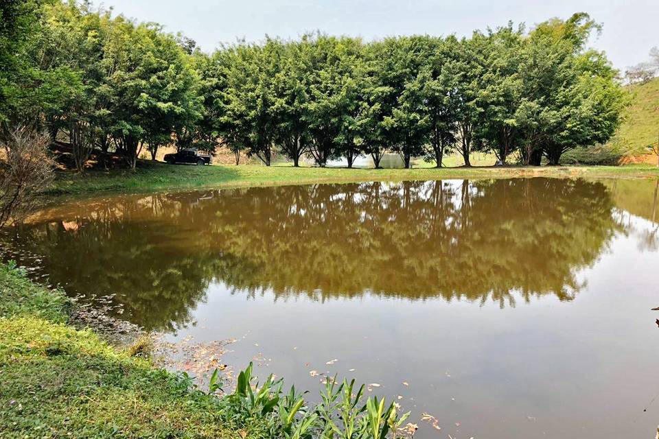 Lago - Tanque de Pesca