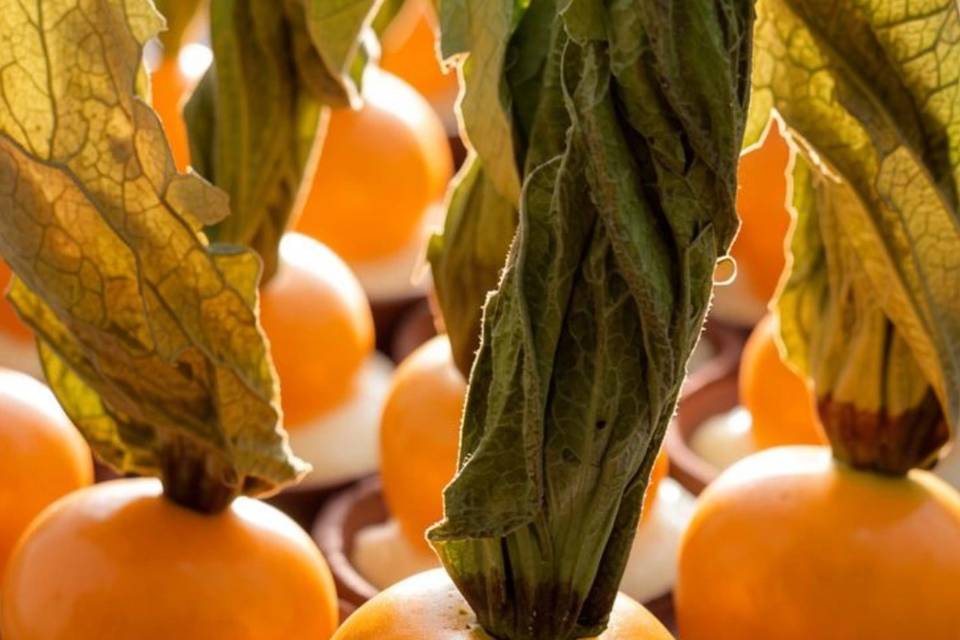 Copinho  de physalis