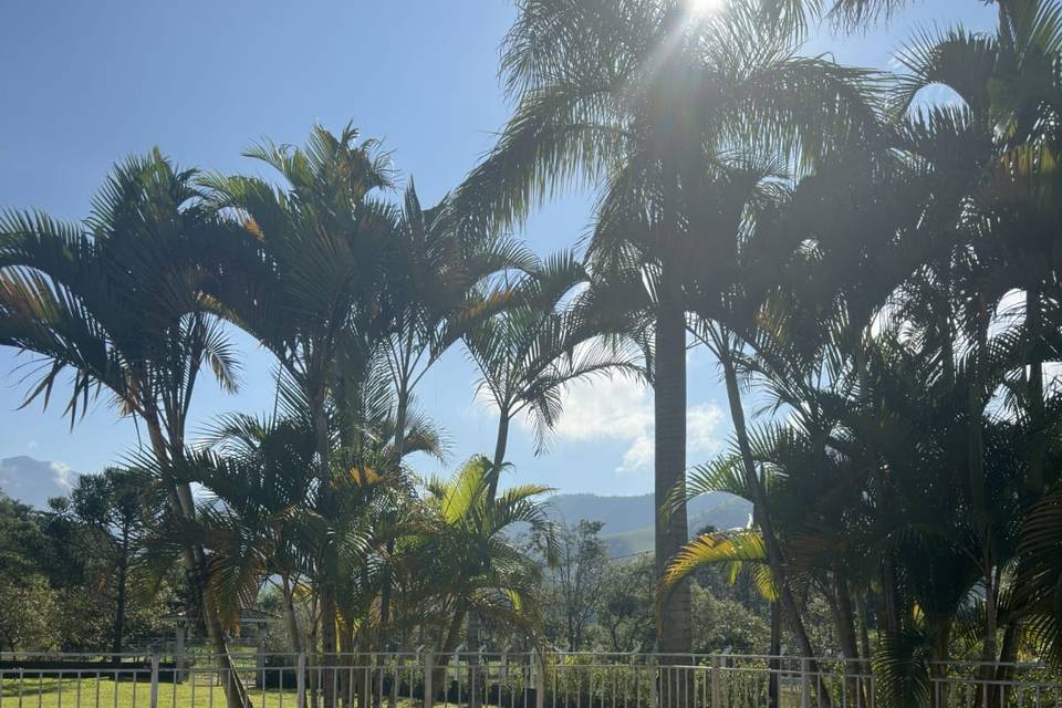 Piscina e Gramado