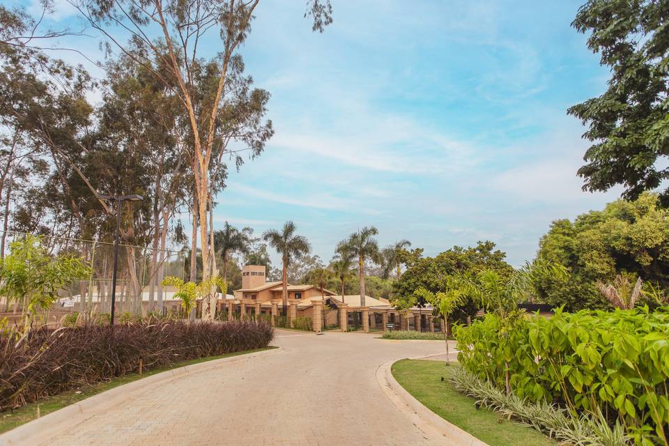 Entrada