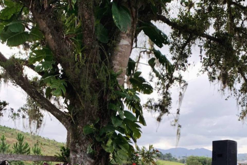 Santo Amaro da Imperatriz