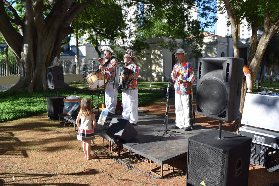 Musica no jardim