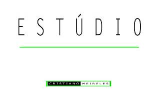 Logo Cristiano Meireles Fotografia