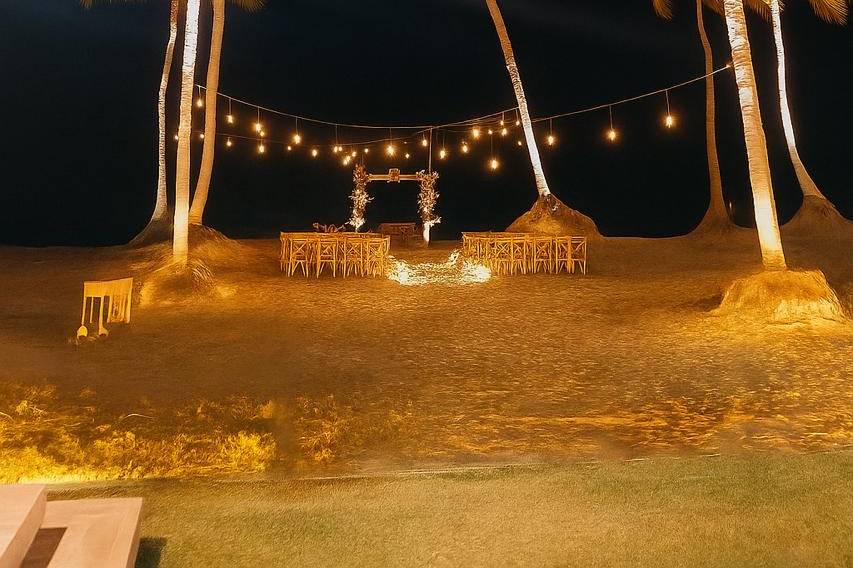 Coqueiros lindos de noite