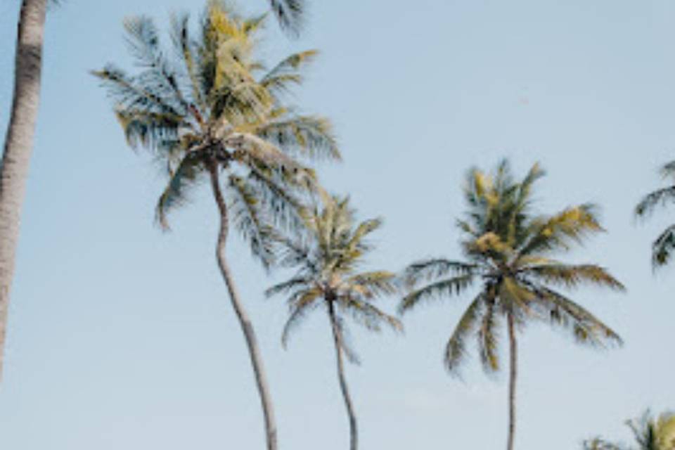Paz