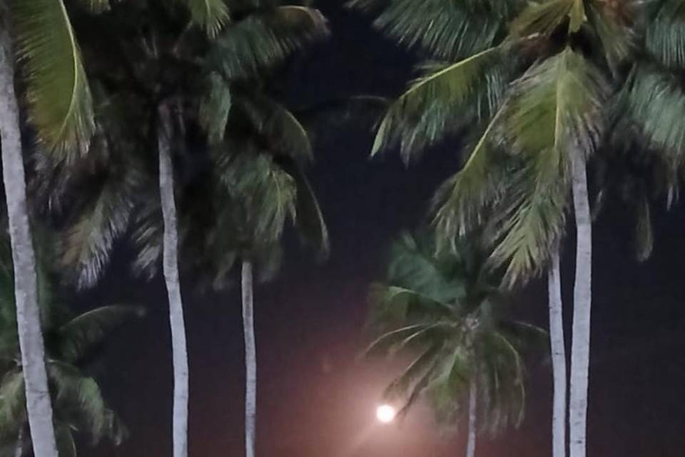 Noites