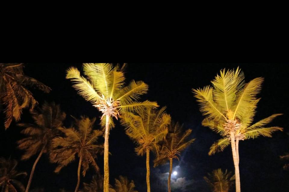 Noites