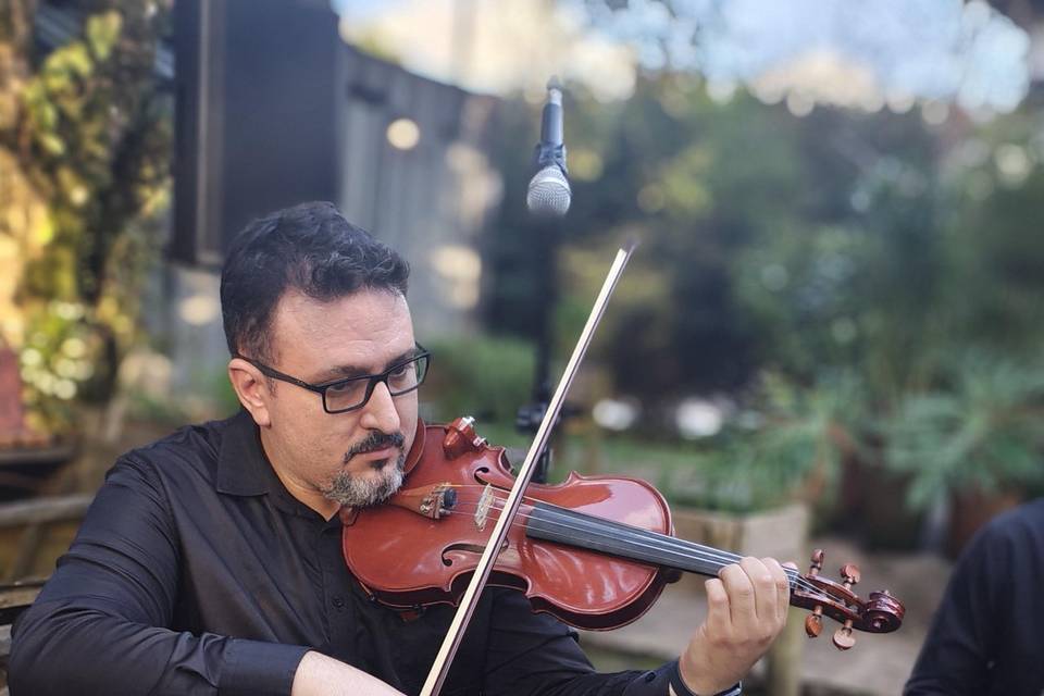 Curta o lindo som do violino