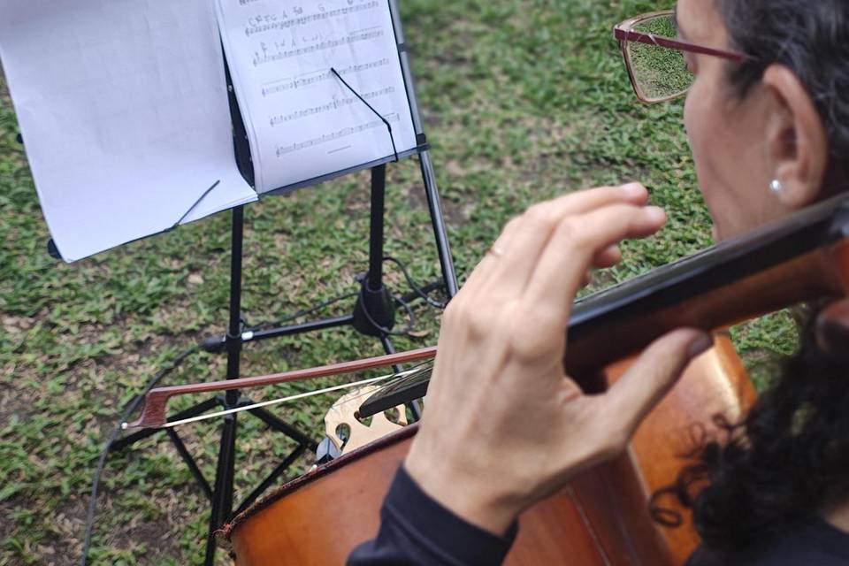 Ouça o lindo som do Cello