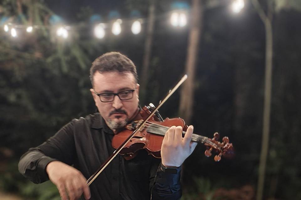 Violino Lounge