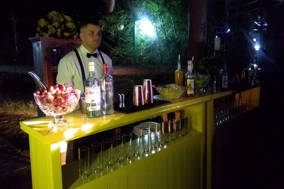 ASV Barman