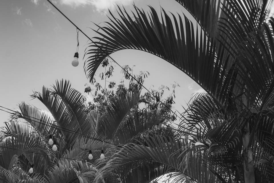 O detalhe do vestido