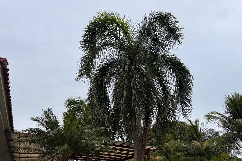 Vista Externa