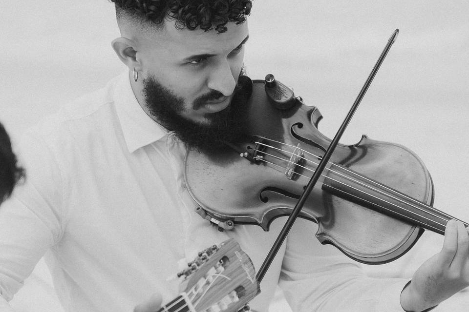 Violino